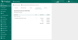 Upcoming invoice preview