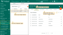 Go to the "<b>Edge management</b>" section -> "<b>Instances</b>" page, click on your edge instance to open "Edge details" window, and navigate to the "<b>Attributes</b>" tab. Click "plus" icon to add new <b>server attribute</b> to Edge;