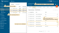 Go back to the Devices page and select the Sparkplug Device 1. On the Shared attributes tab, you will see two new attributes: “Outputs/LEDs/Green” with the value “true” and “Outputs/LEDs/Yellow” with the value “false”. These are metrics that are saved as attributes, and we can modify them and send values to the device.