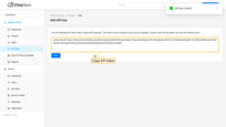 API key created. Copy API token.