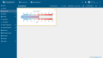 Thermometer scale widget is created.